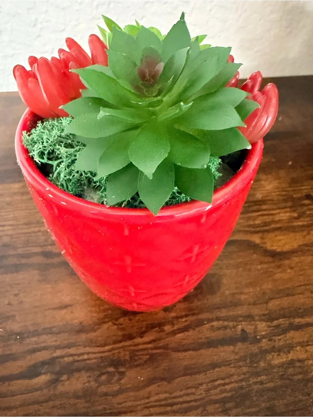Red Ceramic Succulent Planter
